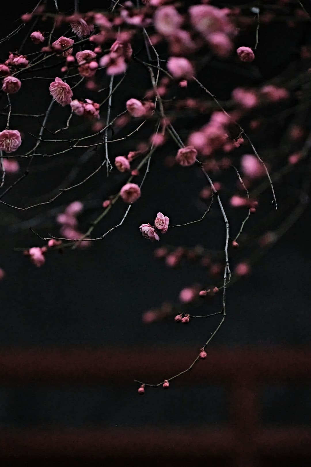 东芝“火箭炮SOUND”破局：独立芯片+三维声场界说高端电视音质新标准